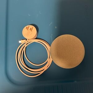 💚💚2 DAY Closet Clearout💚💚Mini Teal Google Home Mini